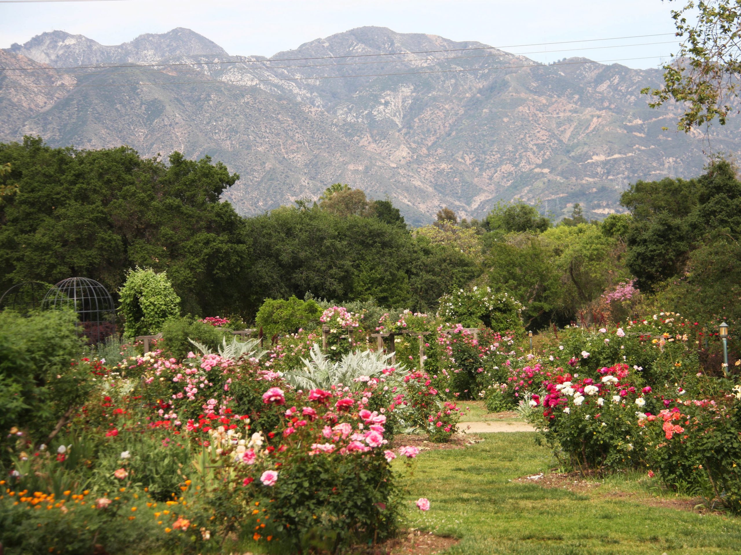 Where to Have a Picnic in Los Angeles